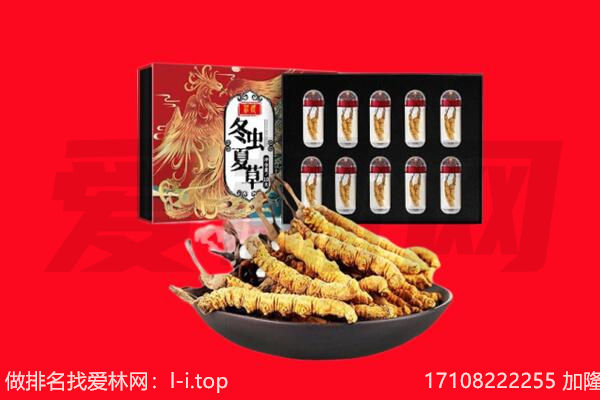 成都金牛区回收虫草.jpg
